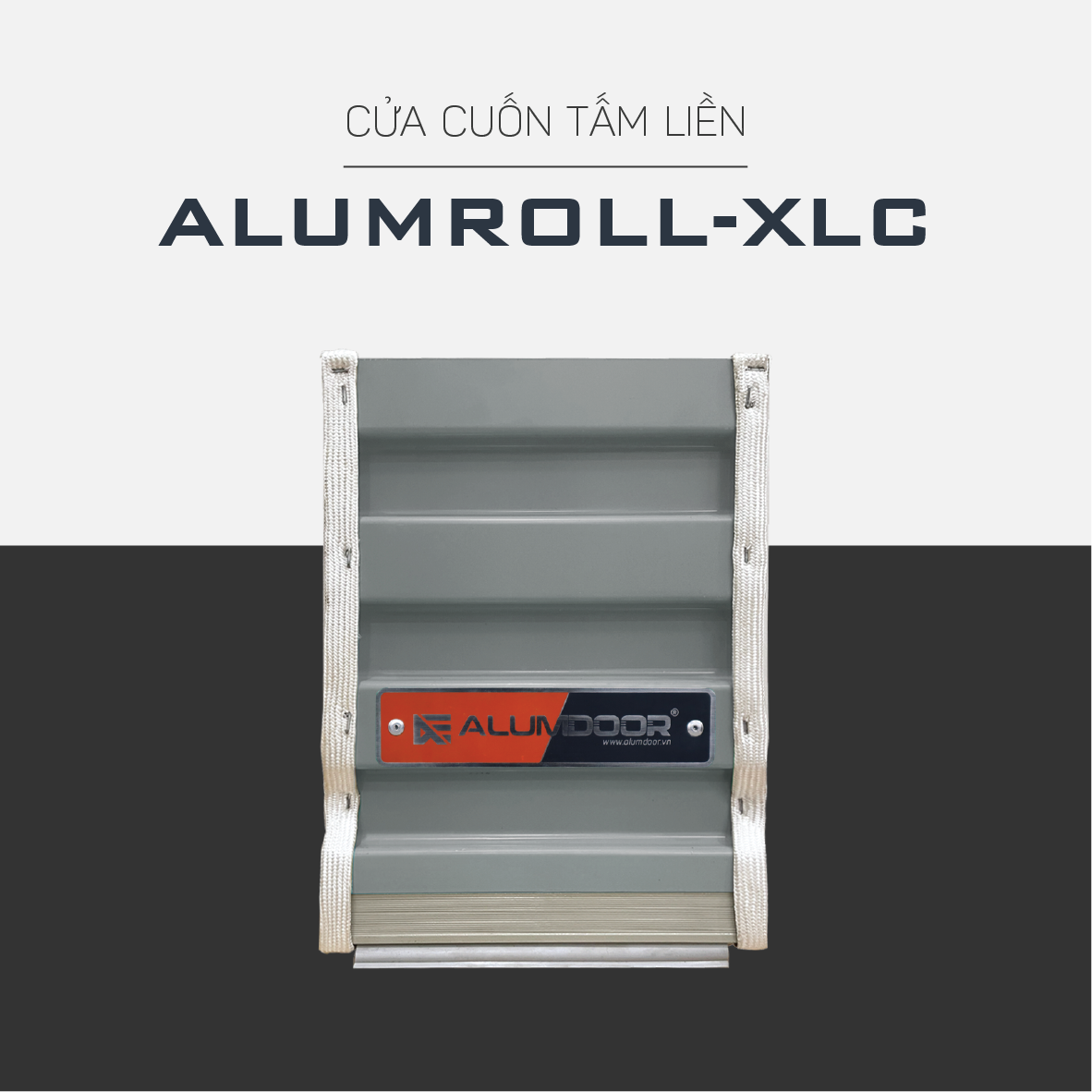 Tấm Liền Xám Lông Chuột